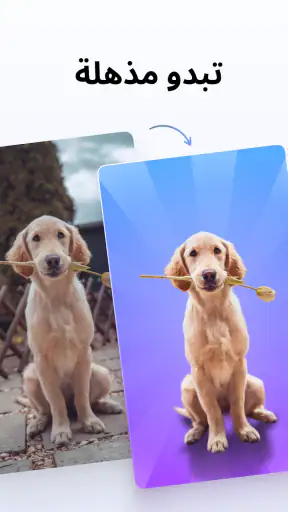 Photoroom : مصمم الصور screenshot