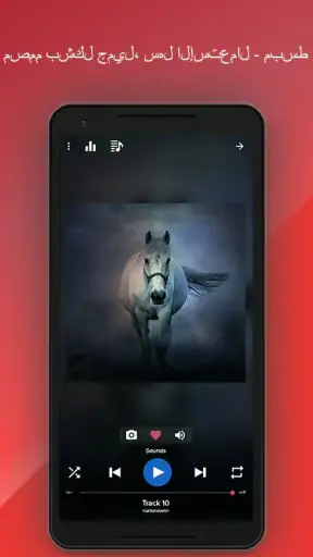 Pi Music Player screenshot