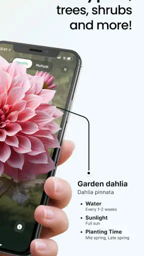 Plant App - Plant Identifier screenshot