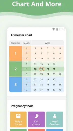 Pregnancy App screenshot