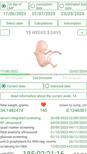 Pregnancy Due Date Calculator screenshot