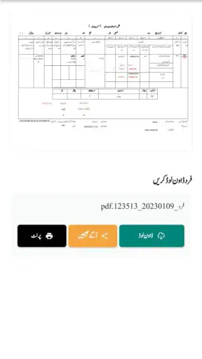 Punjab Zameen screenshot