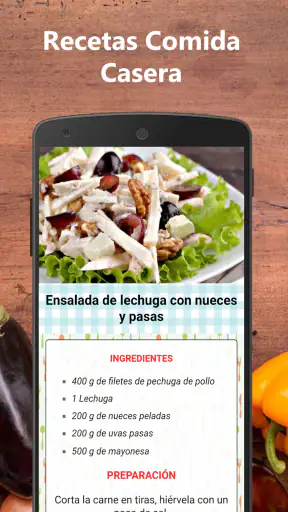 Recetas de comida casera fácil screenshot