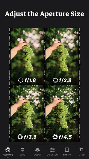 ReLens - التركيز وطمس DSLR screenshot