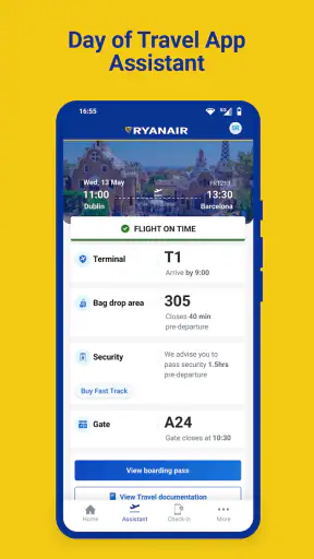 Ryanair screenshot