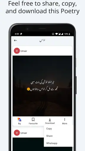 Sad Urdu Poetry offline screenshot