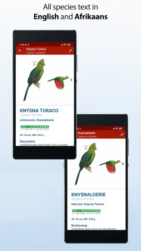 Sasol eBirds Southern Africa screenshot