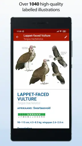 Sasol eBirds Southern Africa screenshot