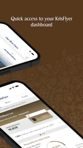 Singapore Airlines screenshot