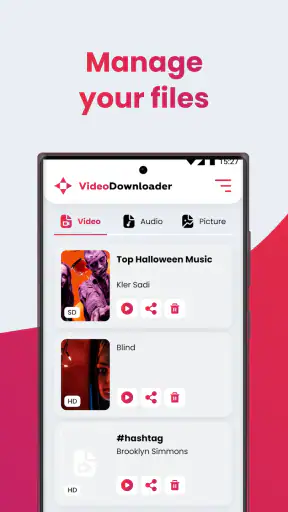 SSSTIK Video Downloader Lite screenshot