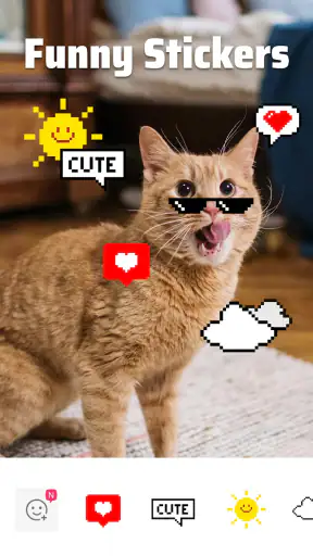 Sweet Selfie: الكاميرا والمحرر screenshot