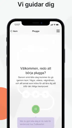 Ta Körkort screenshot
