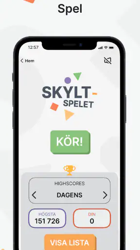 Ta Körkort screenshot