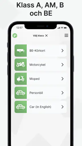 Ta Körkort screenshot