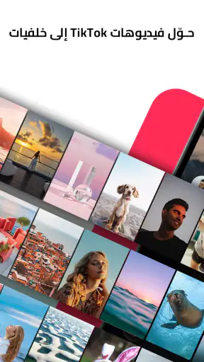 TickTock-TikTok Live Wallpaper screenshot
