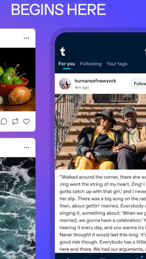 Tumblr: Social Media & Art screenshot