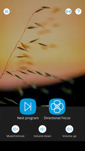WIDEX TONELINK screenshot