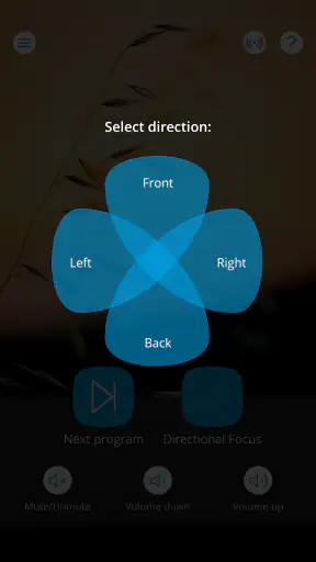 WIDEX TONELINK screenshot