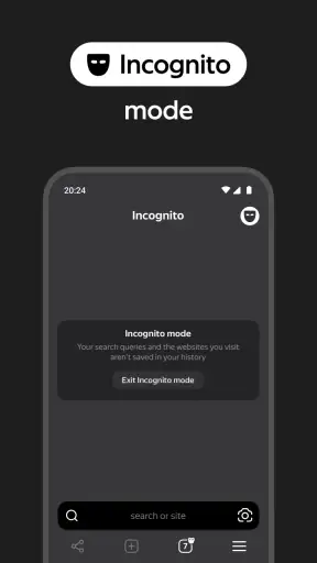 Yandex Browser with Protect screenshot