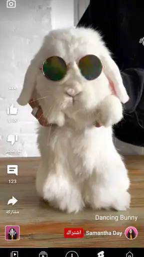 YouTube screenshot