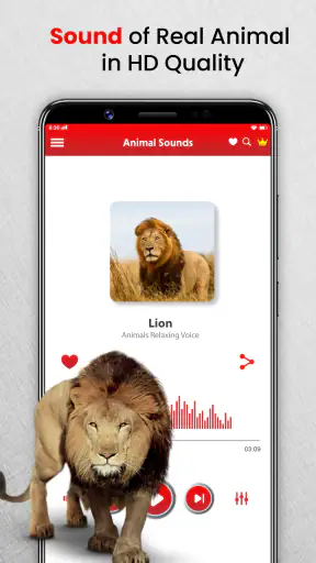 أصوات الحيوانات نغمات الطيور screenshot