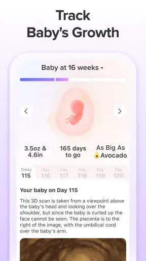 الحمل المقتفي الوهج تغذي screenshot
