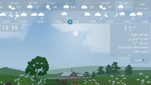 الطقس دقيقة YoWindow screenshot