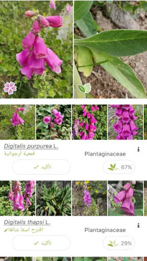 بلانت نت تحديد نوع النبات screenshot