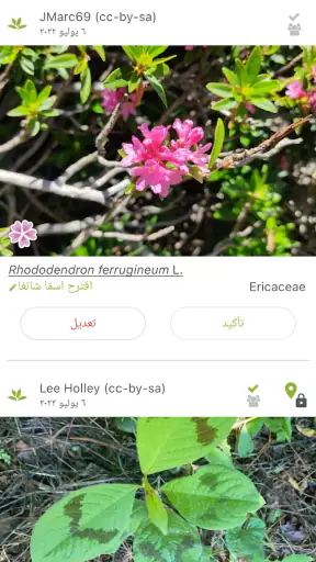 بلانت نت تحديد نوع النبات screenshot