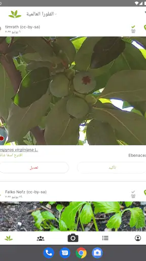 بلانت نت تحديد نوع النبات screenshot