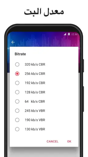 تحويل الفيديو الى موسيقى mp3 screenshot