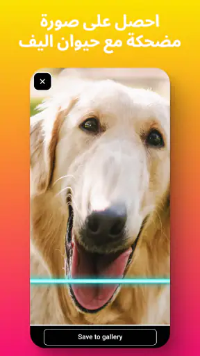 تطبيق الاعوجاج وتجميد الوقت screenshot