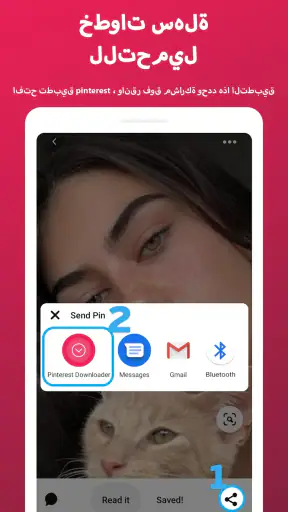 تنزيل الفيديو من بينتيريست screenshot