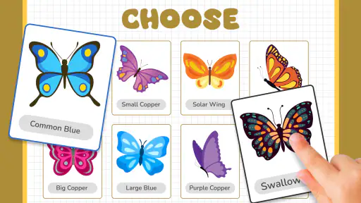رسم الفراشة تتبع وتلوين screenshot