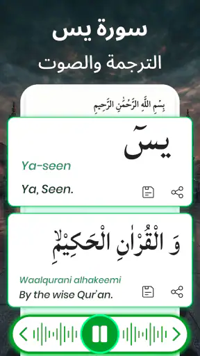 سورة يس صوت بدون نت MP3 screenshot