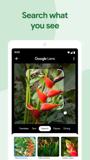 ‏صور Google screenshot