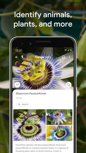 ‏عدسة Google screenshot