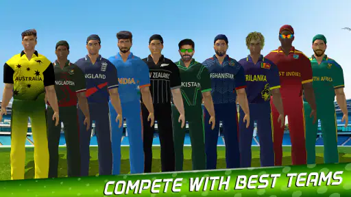 لعبة الكريكيت: كأس باكستان T20 screenshot