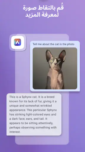 متصفح Opera: سريع وخاص screenshot