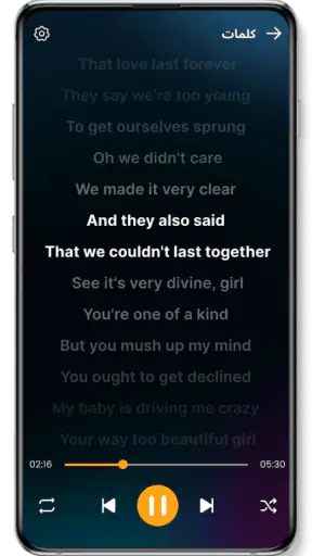 مشغل الموسيقى screenshot