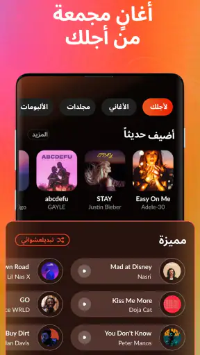 مشغل موسيقى MP3 screenshot