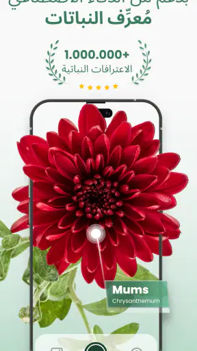 معرف النبات : Plantify screenshot