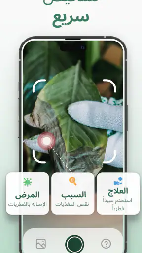 معرف النبات : Plantify screenshot