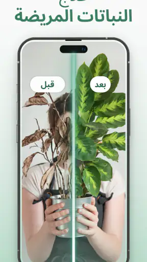 معرف النبات : Plantify screenshot
