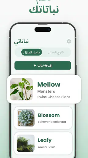 معرف النبات : Plantify screenshot