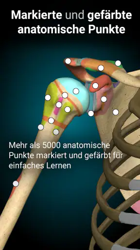 3D-Anatomie - Anatomy Learning screenshot