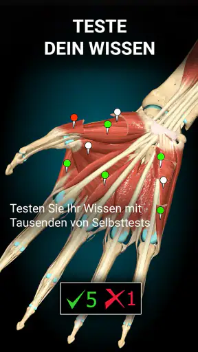 3D-Anatomie - Anatomy Learning screenshot