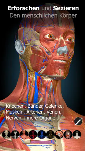 3D-Anatomie - Anatomy Learning screenshot