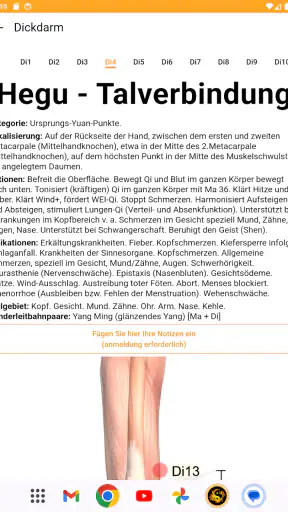 Akupunktur Assistent screenshot