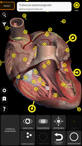 Anatomie - 3D Atlas screenshot